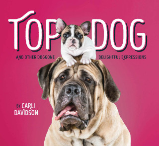 Cover image: Top Dog 9781452151342