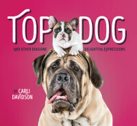 Immagine di copertina: Top Dog 9781452151342