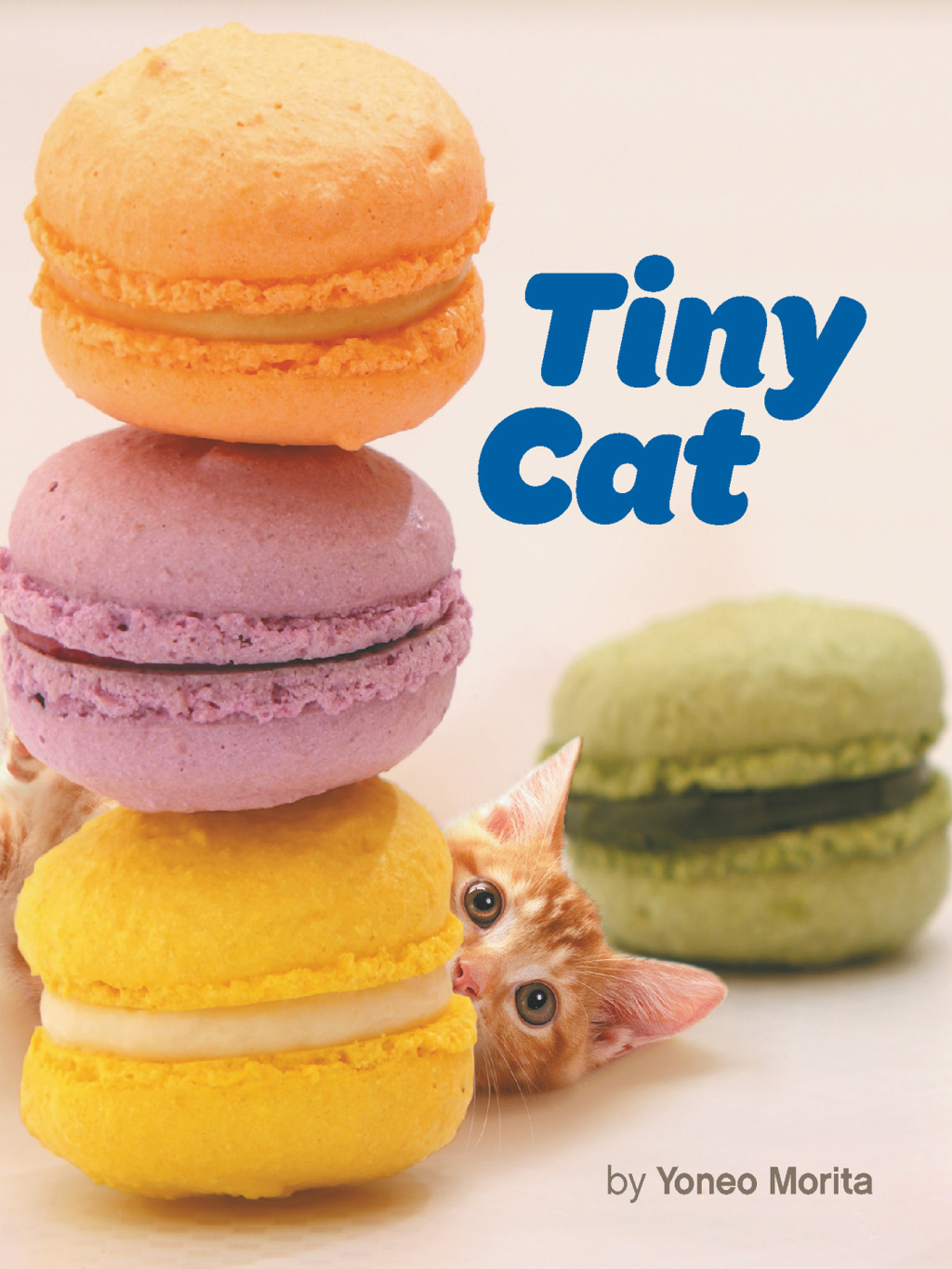 Tiny Cat (eBook)