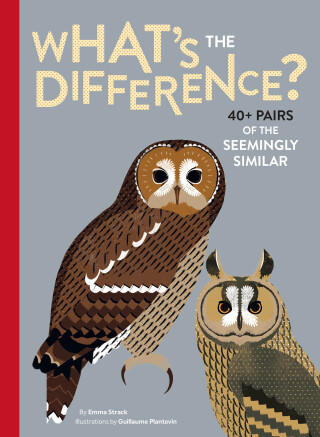Titelbild: What's the Difference? 9781452161013