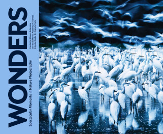 Imagen de portada: Wonders 9781452164564