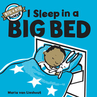 表紙画像: I Sleep in a Big Bed 9781452162904
