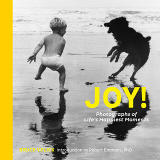 Imagen de portada: Joy! 9781452167893