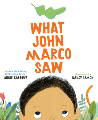Cover image: What John Marco Saw 9781452163369