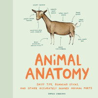 Imagen de portada: Animal Anatomy 9781452174495
