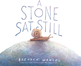 Cover image: A Stone Sat Still 9781452173184
