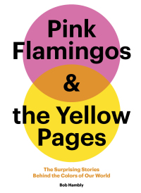 Omslagafbeelding: Pink Flamingos and the Yellow Pages 9781452180496
