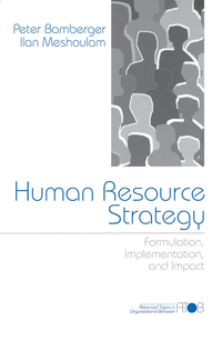 صورة الغلاف: Human Resource Strategy 1st edition 9780761914259