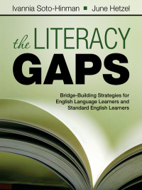 表紙画像: The Literacy Gaps 1st edition 9781412975209