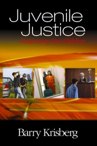 表紙画像: Juvenile Justice 1st edition 9780761925019
