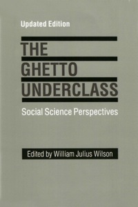 Cover image: The Ghetto Underclass 1st edition 9780803952720