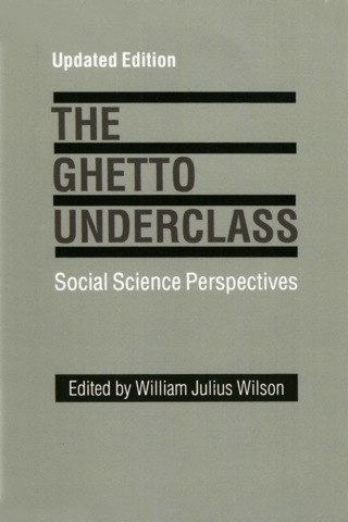 Cover image: The Ghetto Underclass 1st edition 9780803952720