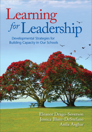 Cover image: Learning for Leadership 1st edition 9781412994408