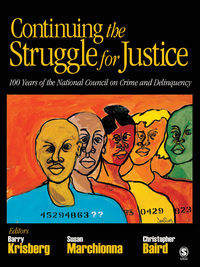 Cover image: Continuing the Struggle for Justice 1st edition 9781412951913