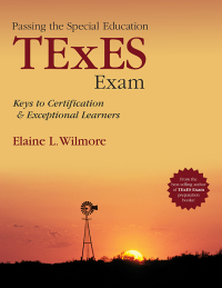 Cover image: Passing the Special Education TExES Exam 1st edition 9781452285955