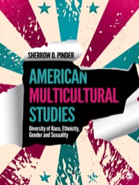 Immagine di copertina: American Multicultural Studies 1st edition 9781412998024
