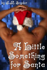 Cover image: A Little Something for Santa 9781452402697