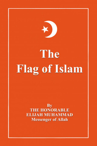 Titelbild: The Flag of Islam 1st edition 9781884855955