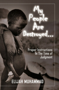 Cover image: My People Are Destroyed - Proper Instructions In The Time of Judgment 1st edition 9781884855849