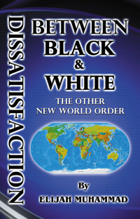 Cover image: Dissatisfaction Between Black And White - The Other New World Order 1st edition 9781448630820