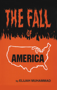 Omslagafbeelding: The Fall of America 1st edition 9781884855719