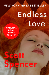 Cover image: Endless Love 9781453205242