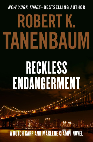 Cover image: Reckless Endangerment 9781453210307