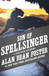 Cover image: Son of Spellsinger 9781453211861