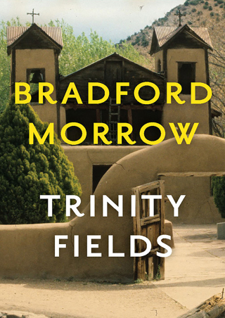 Titelbild: Trinity Fields 9781453212035