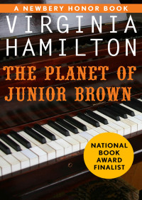 Imagen de portada: The Planet of Junior Brown 9781453213797