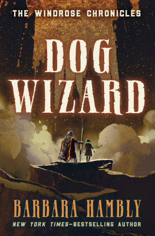 Immagine di copertina: Dog Wizard 9781453216651