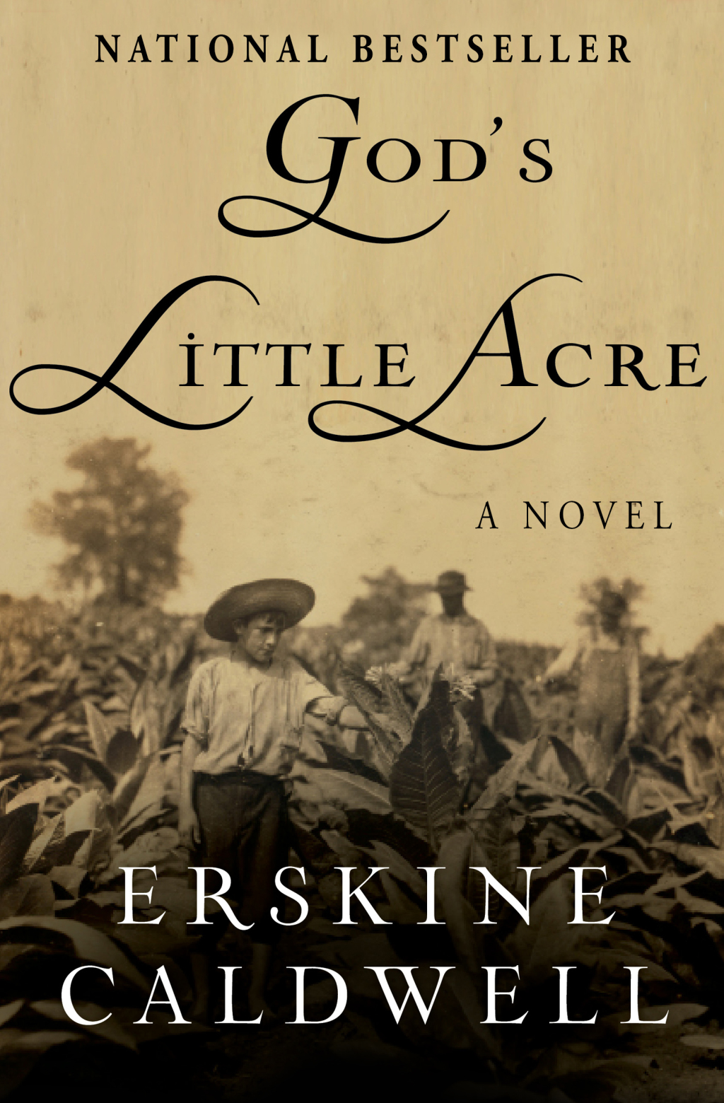 God’s Little Acre A Novel