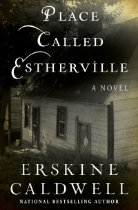 Cover image: Place Called Estherville 9781453217139