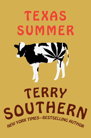 Cover image: Texas Summer 9781453217375