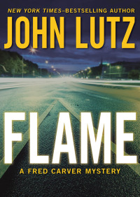 Imagen de portada: Flame 9781453218938