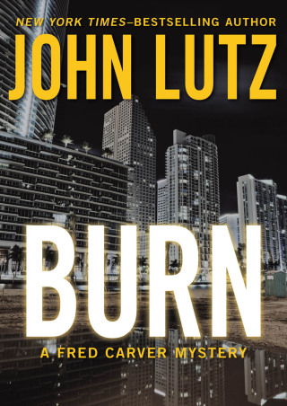 Imagen de portada: Burn 9781453218983