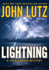 Imagen de portada: Lightning 9781453218990