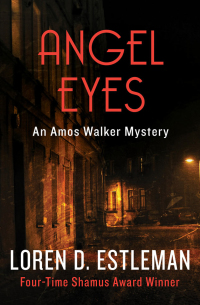 Titelbild: Angel Eyes 9781453220498