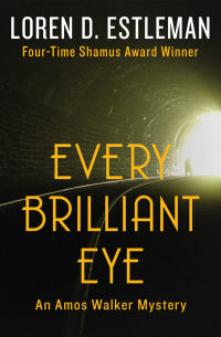 Cover image: Every Brilliant Eye 9781453220535