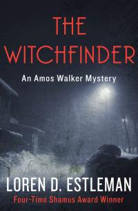 Cover image: The Witchfinder 9781453220597