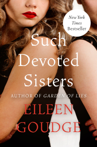 Titelbild: Such Devoted Sisters 9781453223017