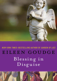 Cover image: Blessing in Disguise 9781453222973