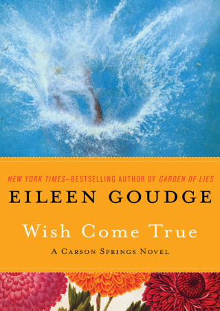 Cover image: Wish Come True 9781453223055