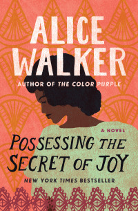 Cover image: Possessing the Secret of Joy 9781453224007