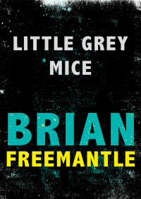 Cover image: Little Grey Mice 9781453227657