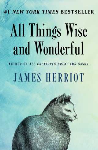 Cover image: All Things Wise and Wonderful 9781453227923