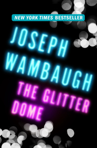 Omslagafbeelding: The Glitter Dome 9781453234877