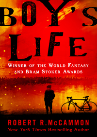 Cover image: Boy's Life 9781453231562