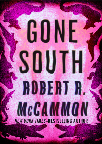 Imagen de portada: Gone South 9781453231579