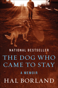 表紙画像: The Dog Who Came to Stay 9781453232354